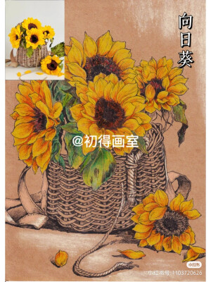 画