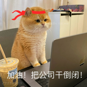 Share｜可爱猫咪表情包
-
我的一天 上班:老板骂我 下班:我骂老板