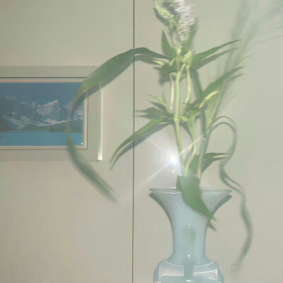 背景｜文案
祝我们好在春夏秋冬