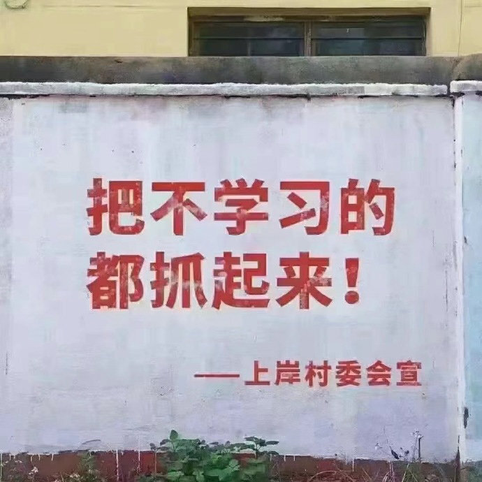 学习表情包，把不学习的都抓起来