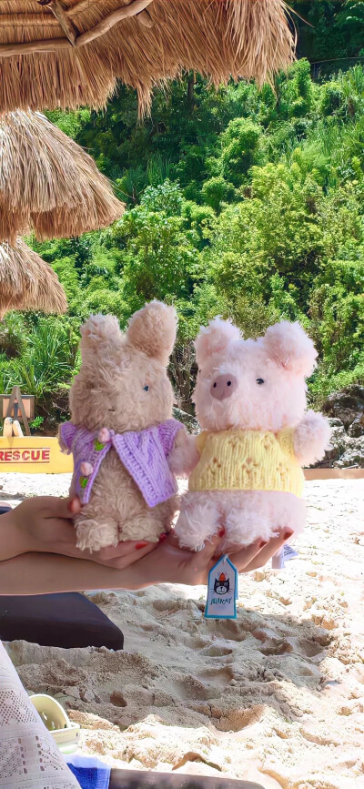 真人女生壁纸 ｜ 女生壁纸 ｜ 素质拿图