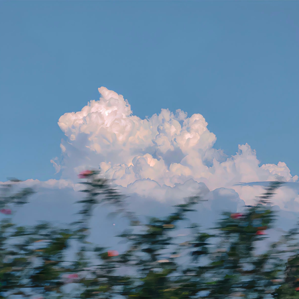 背景｜文案
宠辱不惊，闲看庭前花开花落，去留无意，漫随天外云卷云舒。