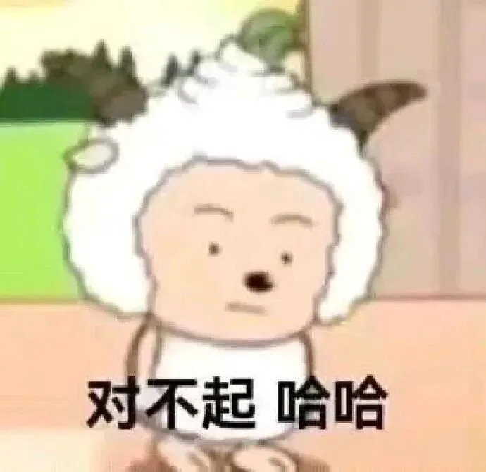 对不起 哈哈