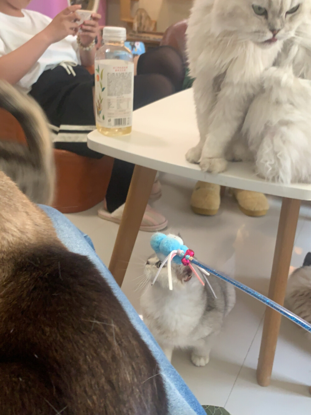 好多图片啊！发不完