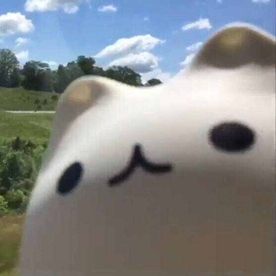 ^ ^