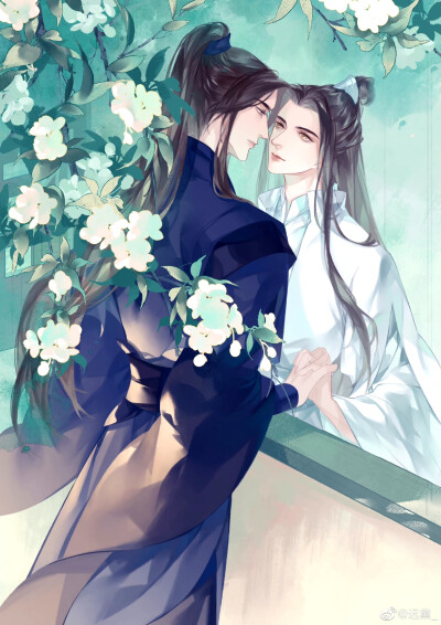 二哈和他的白猫师尊