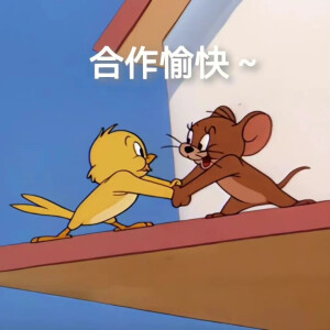 #猫和老鼠
#小灰鼠