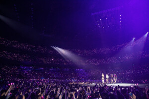 墨色玫瑰收藏夹