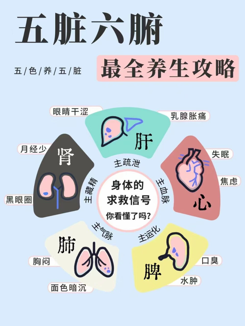 养生基础攻略