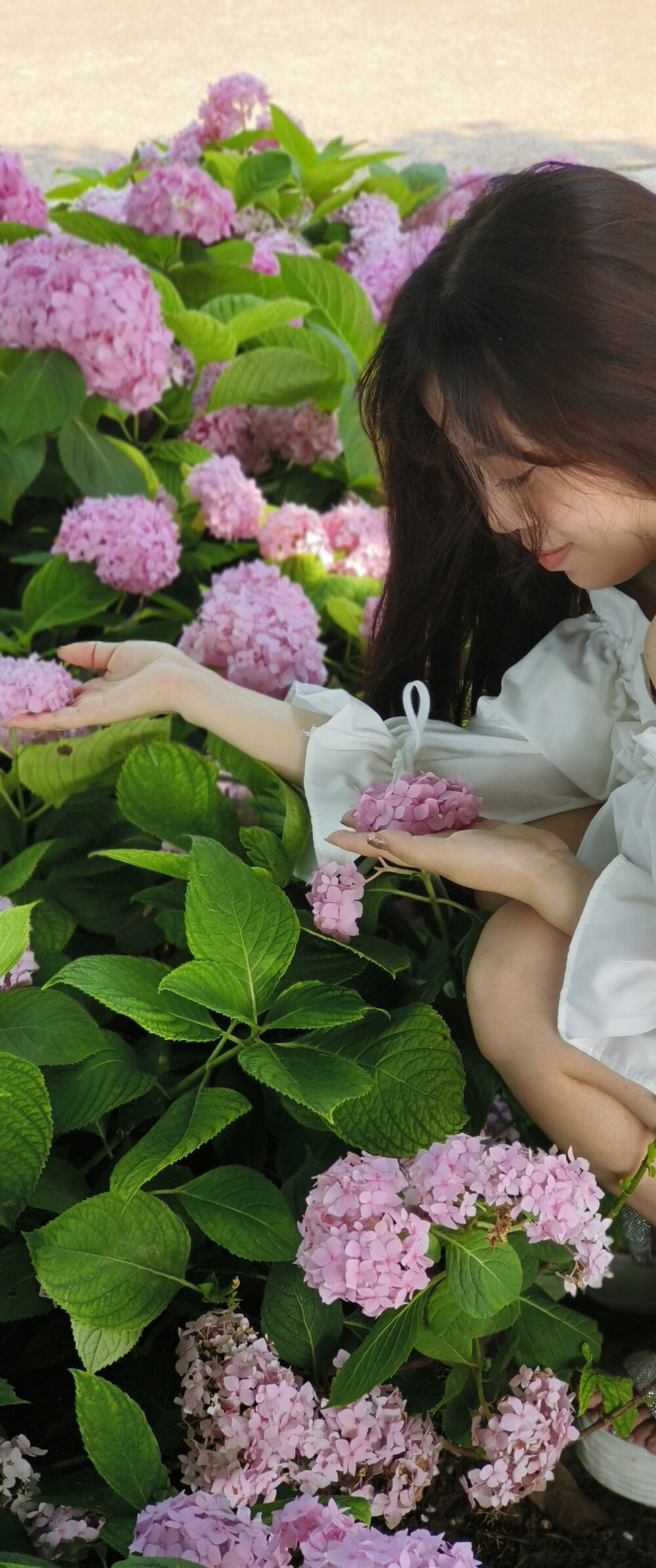 图①，想把蹲着的腿修瘦，加上手背手掌心修修
图②，想把这场景更有那种夏天美的感受
图③，想将肩膀修修，更得体
图④，想将绣球花的颜色更好看
图⑤，人物修修
图⑥，路面的离草从距离感更近才好看
图⑦，想将特写左右两边的树枝衬托更有那个范儿
图⑧，想将柳条除去掉
图⑨，想将人和物更美哦
大神们，你们也可以发挥自己的风格，帮我修修看呗，在此非常感谢哈！！