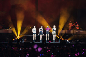 墨色玫瑰收藏夹