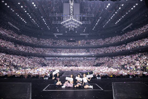 墨色玫瑰收藏夹