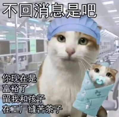 憨憨表情包