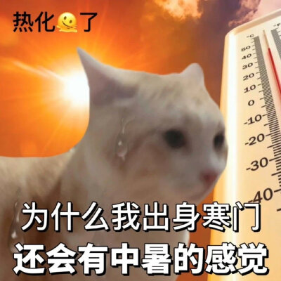 憨憨表情包
