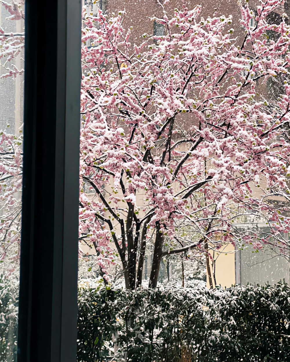 背景｜文案
找到你是我此生最伟大的成功。