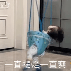 表情包