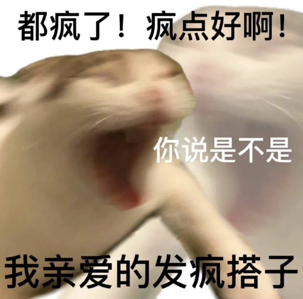 表情