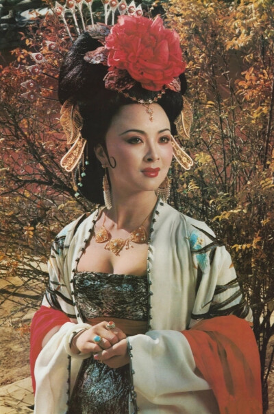 杨玉环