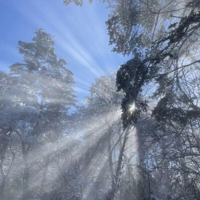 丁达尔效应