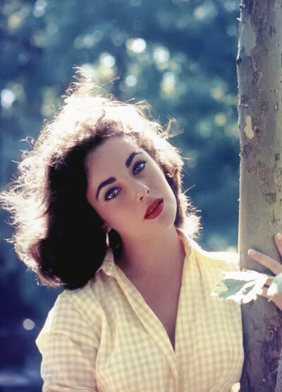 Elizabeth Taylor
伊丽莎白泰勒