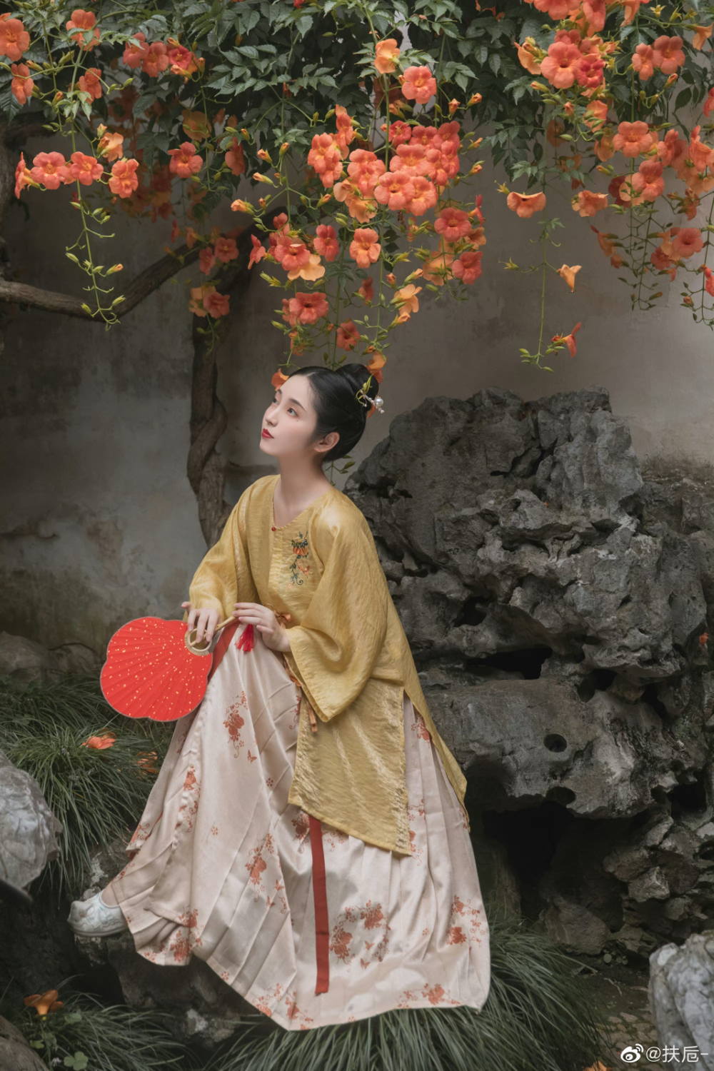 棋拳风暴