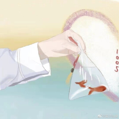 博肖头像 博君一肖