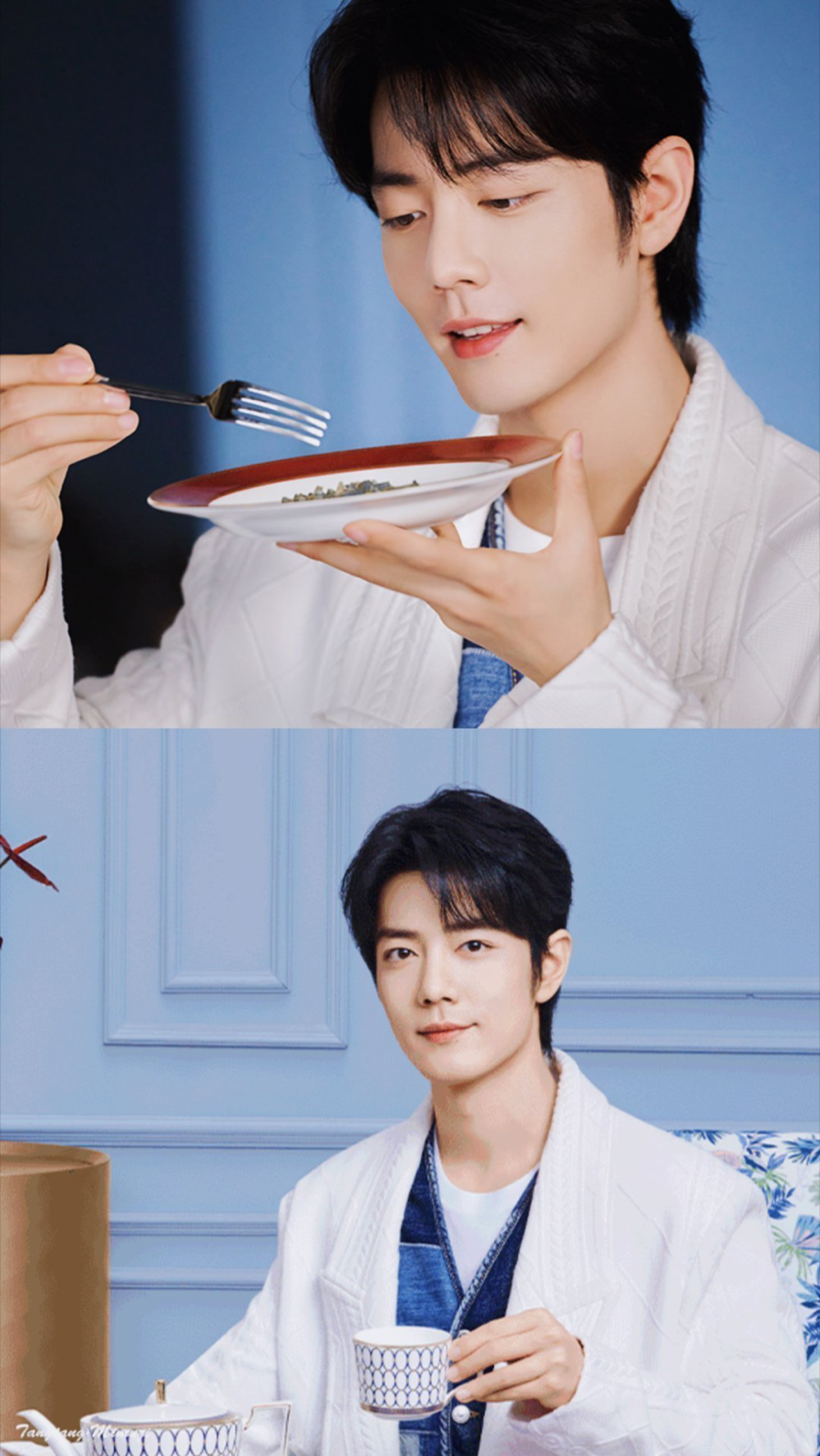 #肖战wedgwood品牌代言人#