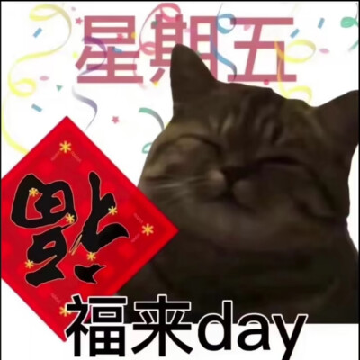 猫猫表情包 头像