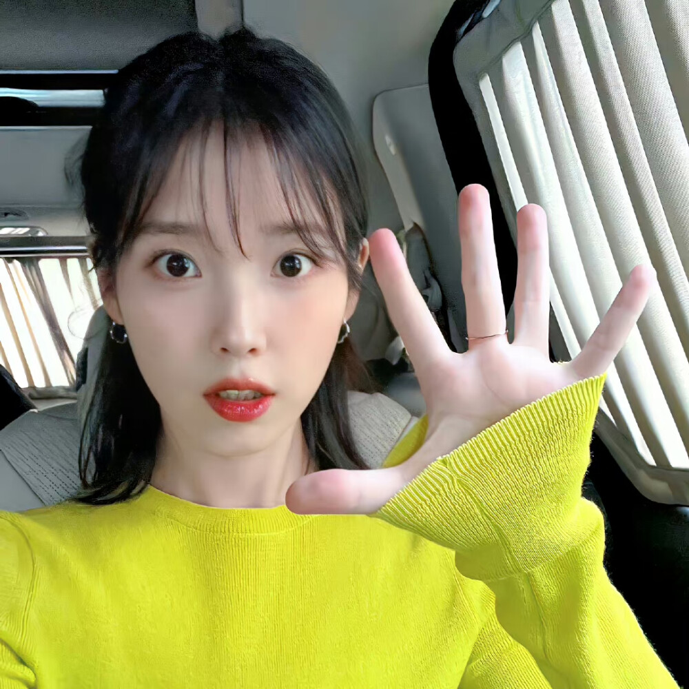 IU の 头像
©俩九_ 侵删.