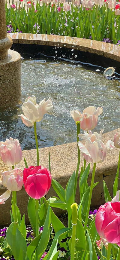 夏日清凉感壁纸