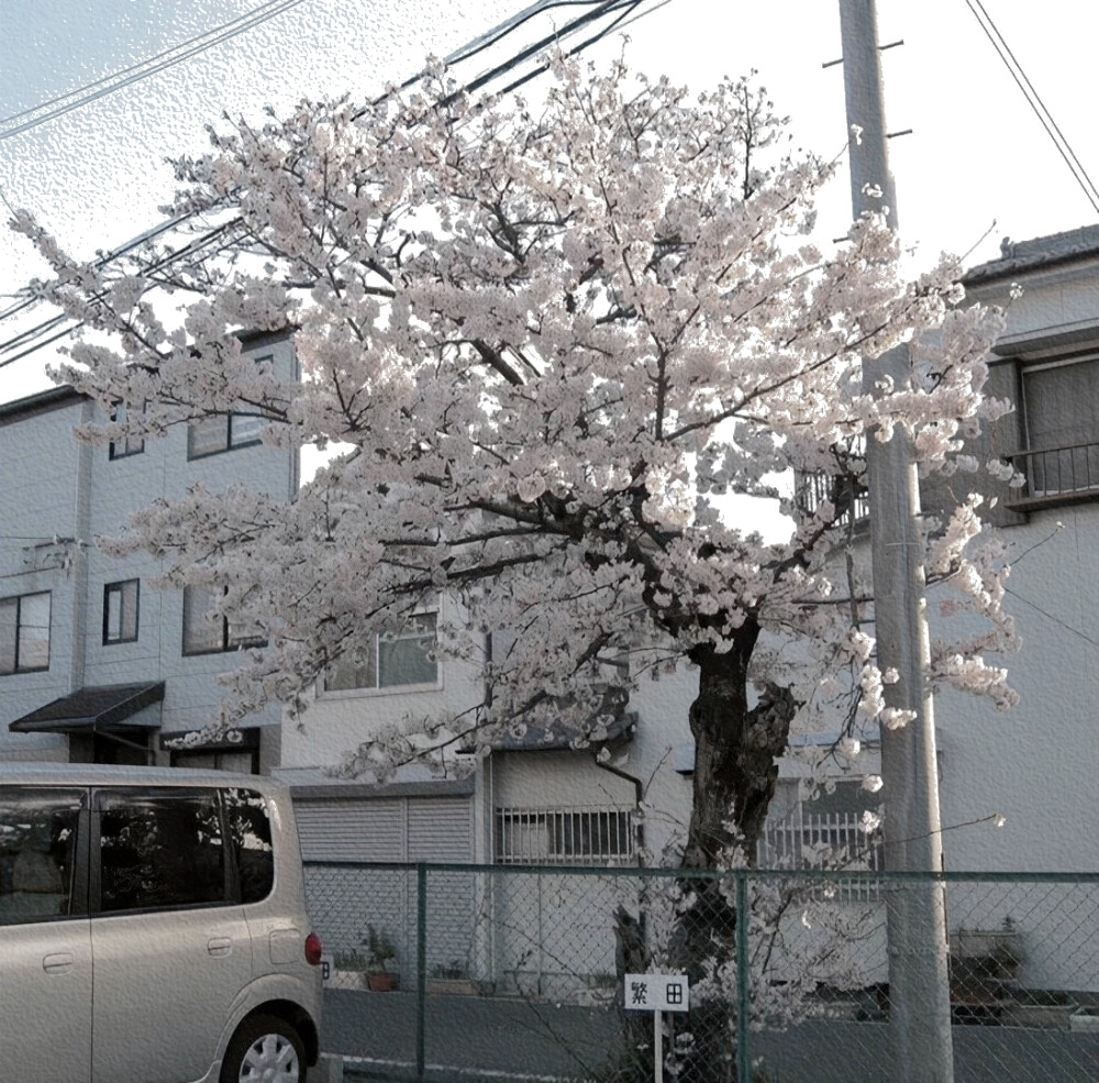  " Sie sich：변경 장원영 "