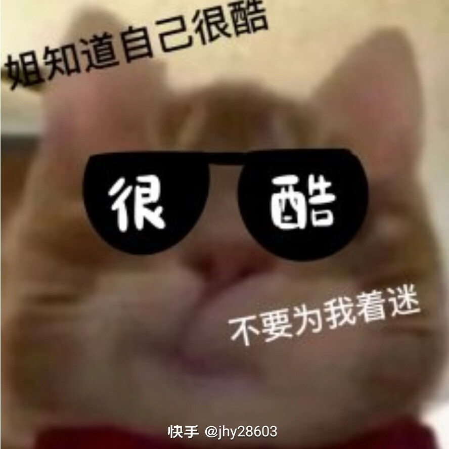 小猫壁纸