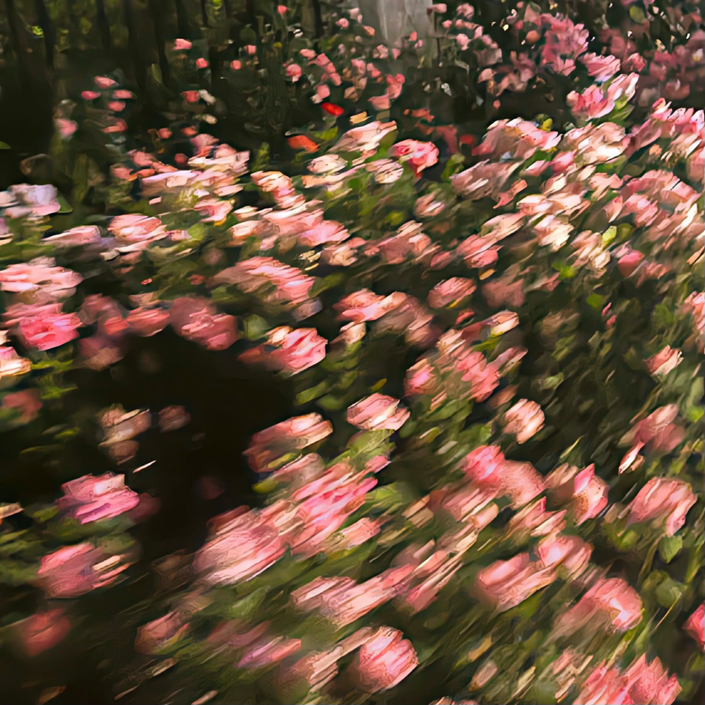 背景｜文案
我涉旷野丛林中来，你撑船渡我，入灿灿花海。