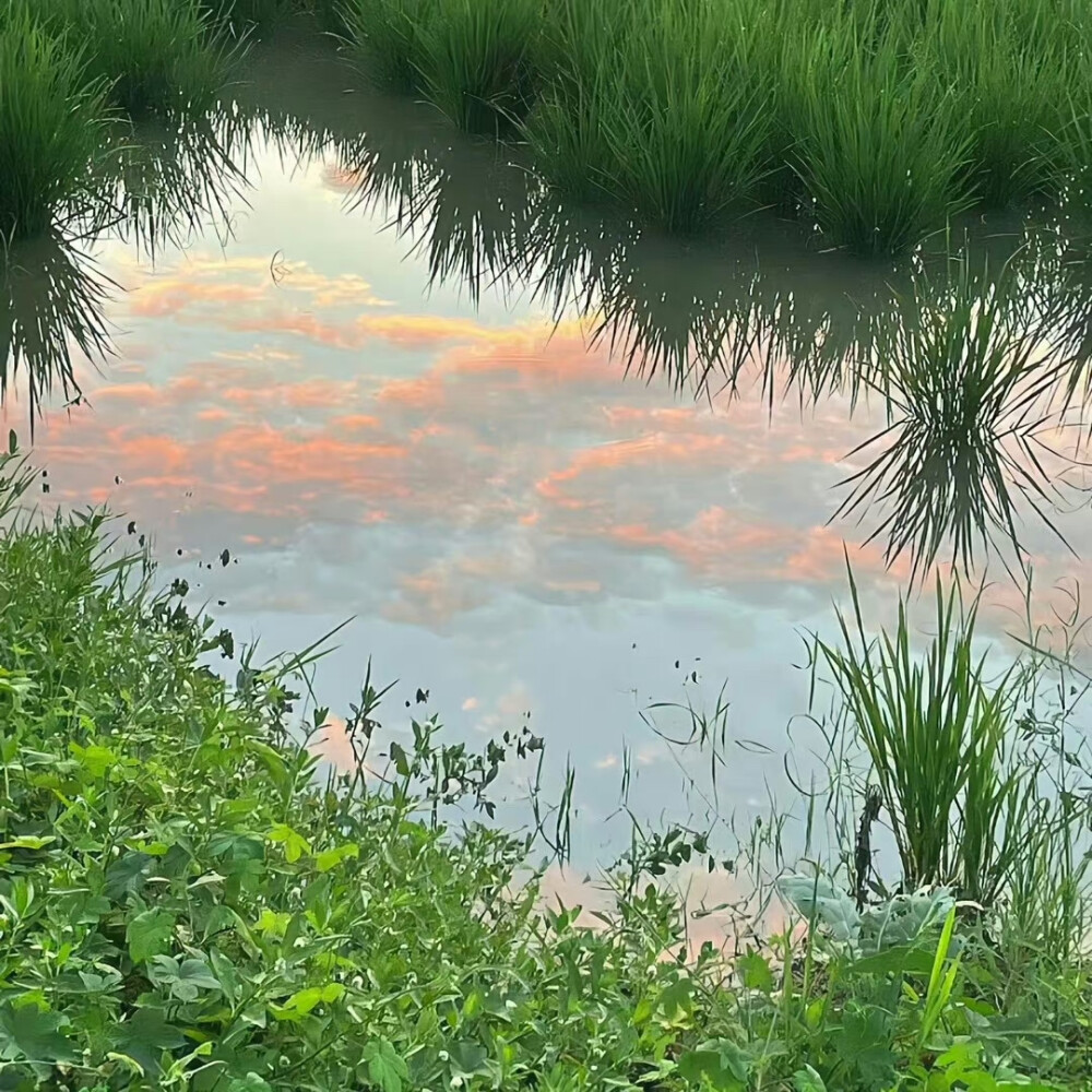 背景｜文案
为遇一人而入红尘，人去我亦去，此身不留尘。