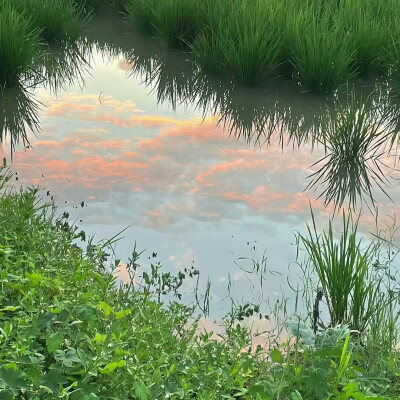 背景｜文案
为遇一人而入红尘，人去我亦去，此身不留尘。