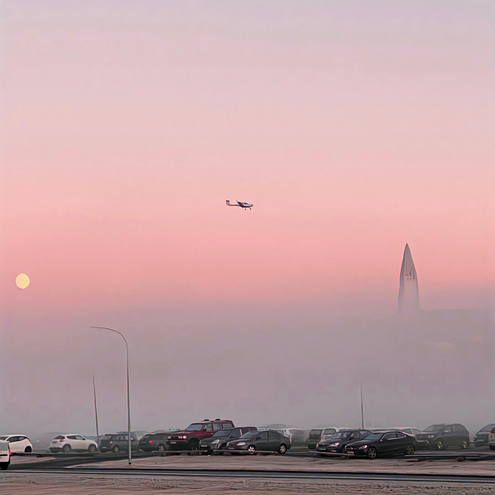 背景｜文案
我涉旷野丛林中来，你撑船渡我，入灿灿花海。