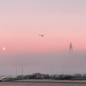 背景｜文案

我涉旷野丛林中来，你撑船渡我，入灿灿花海。