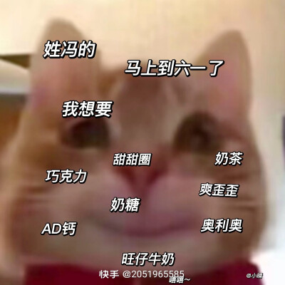 小猫壁纸