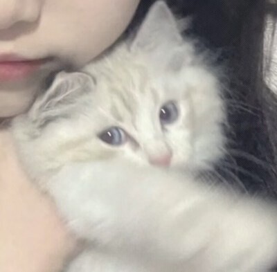 对象不是人系列/情头