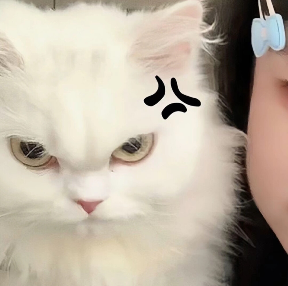 对象不是人系列/情头