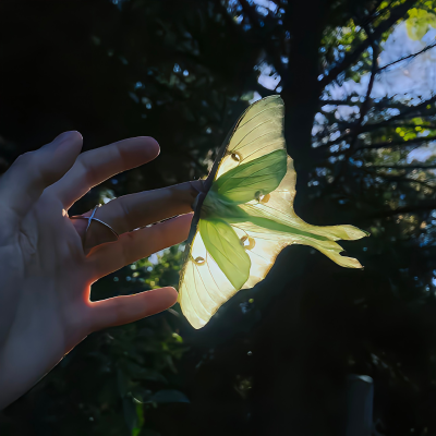 来波搭配