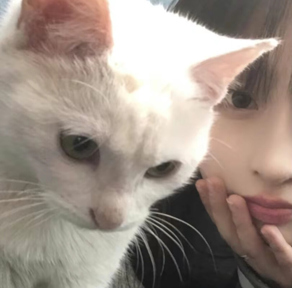 对象不是人系列/情头