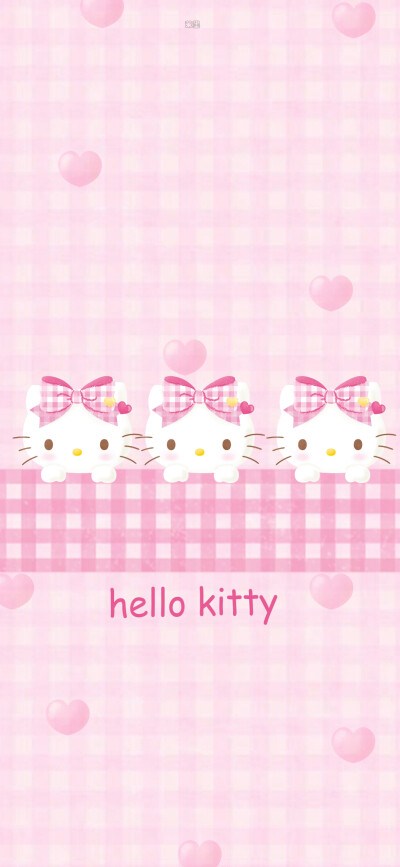 kitty猫