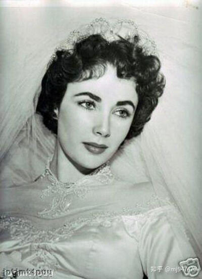 Elizabeth Taylor 伊丽莎白泰勒