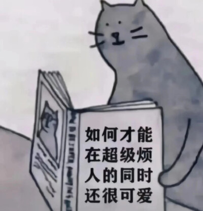 表情包