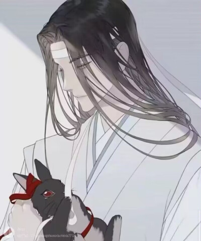 魔道祖师 忘羡