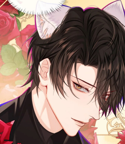 绝美波波和小白！！