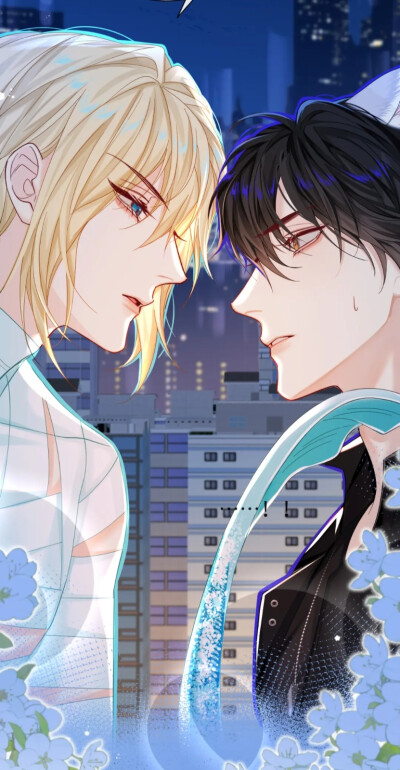 绝美波波和小白！！