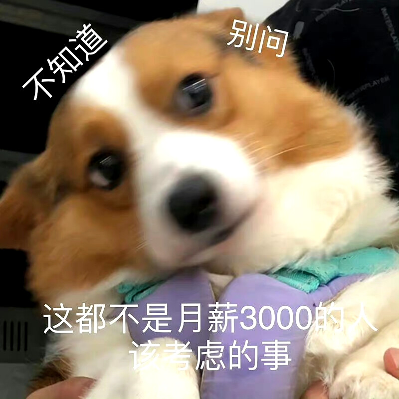 表情包 - 高清图片，堆糖，美图壁纸兴趣社区