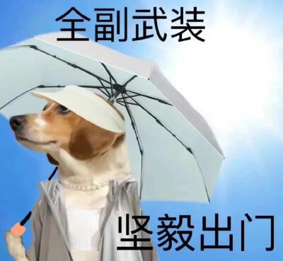 搞笑表情包 